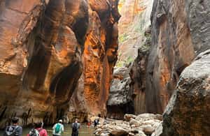 image n.3 of Zion National Park: The Famous Narrows River Trail Hike activity in Utah, uploaded by supplier