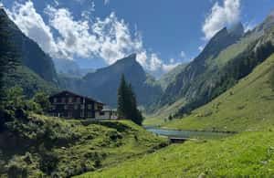 3. attēls no No Cīrihes: privāta pārgājiena uz apburošo Seealpsee ezeru aktivitātes Apencelle, augšupielādējis partneris