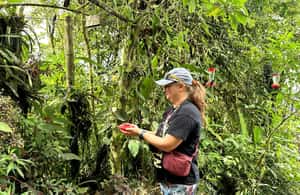 4. fotó – Madármegfigyelési kaland+Quito városnézés és Egyenlítő emlékmű – program helye: Quito, feltöltötte a programszervező