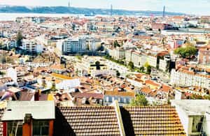 image n.3 of Lisbon: Private City Tour by Eco TukTuk activity in Lisbon, uploaded by supplier