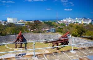 Image N°3 de Visite de la ville de Nassau : Découvrez les charmes de la vieille ville de Charles activité à Nassau, Bahamas, publiée par le prestataire