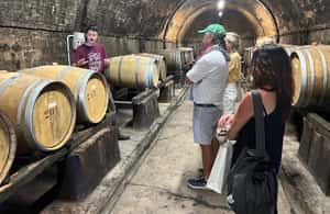 Bild Nr. 3 von Bio-Wein- und Lebensmittelverkostung in der historischen Fattoria Majnoni Aktivität in San Gimignano, hochgeladen vom Anbieter