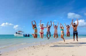 imagem n.4 de SAONA ISLAND: Barco Catamaran com Bar Aberto, Almoço e Mais... atividade em La Romana (Província), carregada pelo fornecedor
