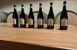 Immagine nº 3 di Il tour completo dell'Amarone: 2 cantine, pranzo e approfondimento sull'Amarone attività a Verona, caricata dal fornitore