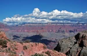 Image N°4 de Sedona, AZ : Visite guidée du Grand Canyon et chemin de fer historique activité à Arizona, publiée par le prestataire