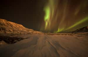 bild nr.4 av Premium norrskenstur i liten grupp från Reykjavik aktivitet i Reykjavik, uppladdad av arrangören