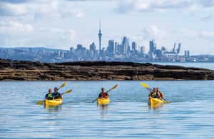 Εικόνα 4 από Όκλαντ: Motukorea Island: Half-Day Sea Kayak Tour to Motukorea Island δραστηριότητα σε Βόρειο Νησί, ανέβηκε από πάροχο