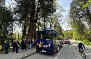 image n.3 of Vancouver: 24 or 48-Hour Hop-On Hop-Off Trolley Tour Pass activity in Vancouver, uploaded by supplier
