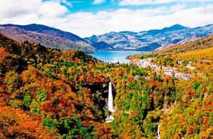 Immagine nº 3 di Da Tokyo: Tour panoramico privato di Nikko di una giornata intera attività a Nikkō, caricata dal fornitore