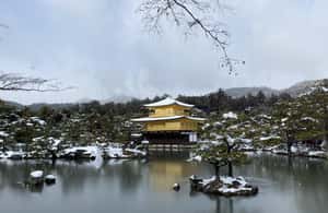 サプライヤーによってアップロードされた、京都の神戸から京都への小旅行：オールインクルーシブの画像#3