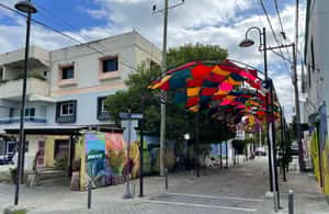 image n.4 of Private Puerto Plata City Tour activity in Puerto Plata, uploaded by supplier