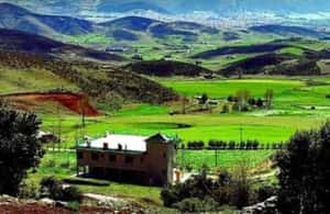 image n.4 of From Fez: Middle Atlas Ifran and Forest of Monkeys Day Trip activity in Ifran, uploaded by supplier