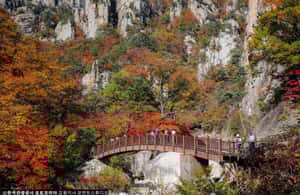 imagen n.º 3 de Seúl: Mt.Seorak, Isla Nami, No Shopping(+Opción TrenBici) actividad en Provincia de Gangwon, subida por el proveedor