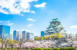 3. fotó – Ez a legjobb gyalogtúra, minden kötelező látnivaló Oszakában! – program helye: Osaka, feltöltötte a programszervező