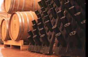 รูปภาพที่ 3 จาก เลอ มอเรตต์, อิล ลาโก และ ลา คูซินา กิจกรรมใน Italy อัปโหลดโดยซัพพลายเออร์