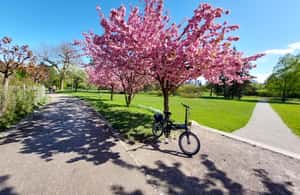 image n.3 of Ljubljana Sightseeing Tour by E-bikes activity in Ljubljana, uploaded by supplier