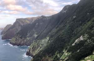 billede nr.4 af aktiviteten Madeira: Solopgang ved Pico do Arieiro og vandretur på Larano-stien i Madeira, uploadet af udbyder