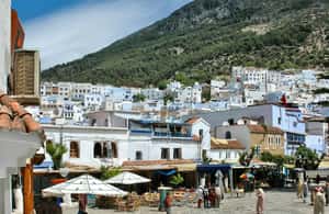 billede nr.3 af aktiviteten 2-dages tur fra Fes: Volubilis, Meknès & Chefchaouen i Meknès, uploadet af udbyder