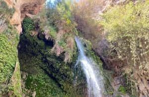 bild nr.4 av Naturreservatet Ein Gedi och Döda havet på ryska aktivitet i Tel Aviv, uppladdad av arrangören