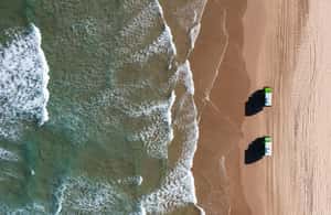 image n.4 of Port Stephens: Unlimited Sandboarding & 4WD Sand Dune Tour activity in Bobs Farm, uploaded by supplier