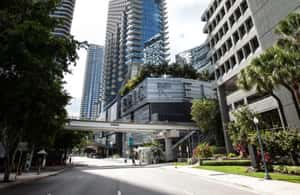 foto no. 4 dari aktivitas Miami: Tur Kota dan Petualangan Perahu Cepat yang Menegangkan di Miami, diunggah oleh pemasok