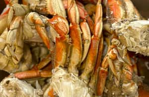 image n.3 of Ketchikan: Lumberjack Show & Crab Feast activity in Alaska, uploaded by supplier
