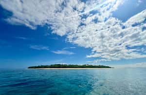 image n.4 of Fiji: Captain Cook Cruises - Island & Reef Day Trip activity in Denarau Island, uploaded by supplier