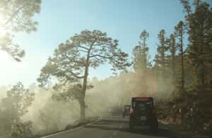 billede nr.4 af aktiviteten Tenerife: MORGEN - Familie 4-personers buggytur til Teide i Kanarieøerne, uploadet af udbyder
