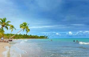 imaginea n.3 a activității Maceió: Turul Plajei Ipioca (Hibiscus Beach Club) în Maceió, încărcată de organizator