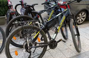 Image N°3 de Porto Torres : louez votre VTT pour découvrir l'Asinara activité à Sardaigne, publiée par le prestataire