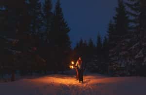 image n.4 of Oslo: Snowy Forest Torchlight Walk with Campfire activity in Oslo, uploaded by supplier