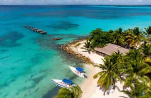 image n.3 of Saona Island: Beach & Natural Pool Small-Group Tour w/ Lunch activity in La Romana (Province), uploaded by supplier