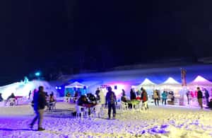 Yuzawa에서 아키타 유자와: 이글루와 거대한 고드름을 감상하는 겨울 야간 투어 액티비티의 3번 이미지, 공급업체 업로드