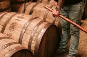 image n.4 of ناشفيل: رحلة الويسكي من البرميل activity in ناشفيل, uploaded by supplier