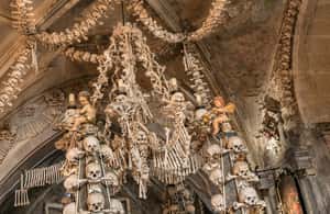 image n.4 of From Prague: Day Trip to Kutna Hora with Czech Lunch activity in Kutná Hora, uploaded by supplier