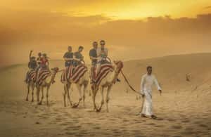 afbeelding n.4 van Dubai: Woestijnsafari, quad, sandboarden, kamelen & BBQ activiteit in Dubai, geüpload door aanbieder