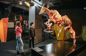 obrázok č. 4 aktivity Berlín: Vstupenky do múzea BODY WORLDS v Berlíne v destinácii Berlín, obrázok nahral dodávateľ