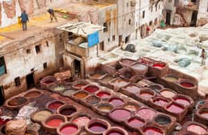 billede nr.3 af aktiviteten Casablanca: 6-dages tur til Marrakech via Fes og Merzouga-klitterne i Casablanca, uploadet af udbyder