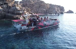 Image N°3 de Demi-journée : après-midi détente vers les îles Lavezzi et Cavallo activité à Porto-Vecchio, publiée par le prestataire
