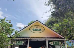 imagem n.3 de De Montego Bay: Bob Marley 9 milhas e passeio pelas cataratas do rio Dunns atividade em Ocho Rios, carregada pelo fornecedor