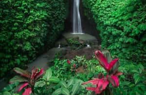 image n.3 of Ulun Danu Beratan Temple, Jatiluwih, Banyumala waterfall activity in Jatiluwih, uploaded by supplier