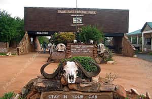 image n.4 of 5 Days Amboseli / Tsavo West & Tsavo East Safari activity in Coast Province, uploaded by supplier