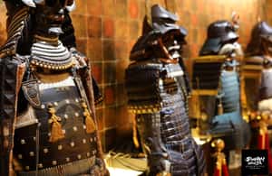 зображення №4 активності «Урок володіння мечем у Музеї самураїв та ніндзя в Токіо» в такій локації: Токіо, завантажене постачальником