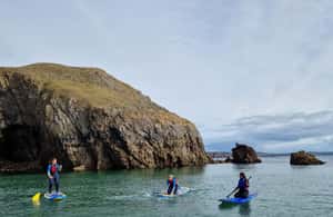 image n.3 of Stackpole Quay: Paddle Boarding Tour activity in Pembrokeshire, uploaded by supplier