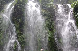 image n.3 of North Bali Trip with 2 Hidden Waterfalls Private Tour activity in Tabanan, uploaded by supplier