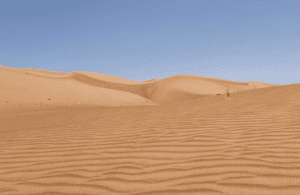 Immagine nº 4 di Muscat: tour di un giorno nel deserto di Wahiba Sands e Wadi Bani Khalid attività a Regione al-Sharqiyya, caricata dal fornitore