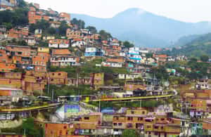 imagem n.3 de Medellín: Tour de grafite na Comuna 13 com comida de rua e teleférico atividade em Medellín, carregada pelo fornecedor