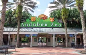Immagine nº 4 di New Orleans: Biglietto per lo zoo di Audubon e opzione combinata attività a New Orleans, caricata dal fornitore