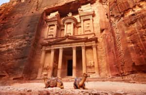image n.3 of 3-days private tour of Petra, Wadi Rum & Dead Sea from Amman activity in Capital Governorate Amman, uploaded by supplier