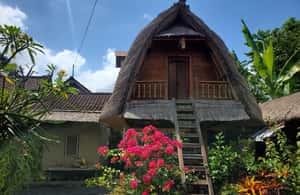 image n.4 of Bali: Historical Cultural Tour and Water Temple Purification activity in Ubud, uploaded by supplier